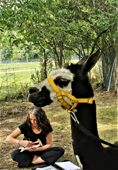 Kinesiologische Austestung von Spirit